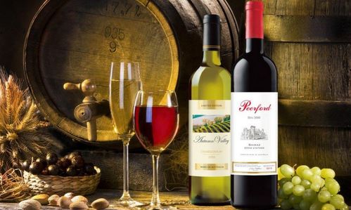 全球著名优质葡萄酒产区都有一个共同特点及处于