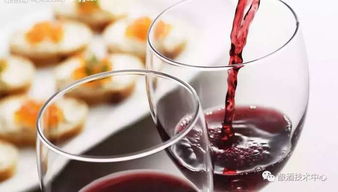 葡萄酒酿造过程温度要求
